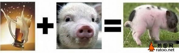 醉酒后搞笑图片爆笑gif搞笑图片