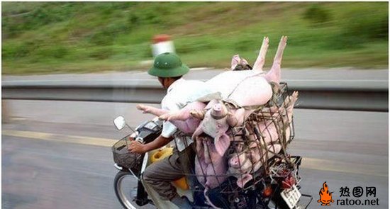 摩托车搞笑图片爆笑gif搞笑图片