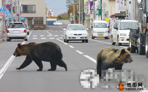 公路马路搞笑图片爆笑gif搞笑图片