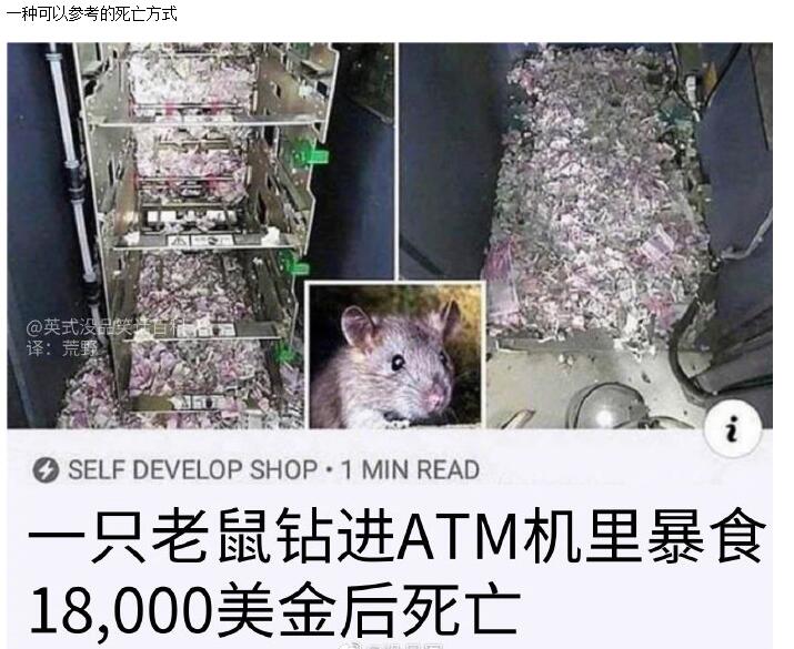 最值钱的老鼠爆笑gif搞笑图片