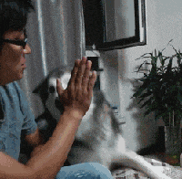 爆笑GIF恶搞动图_笑到爆爆笑gif搞笑图片