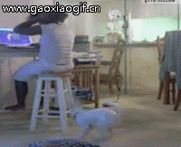 整天上网不做饭想饿死我呀爆笑gif搞笑图片