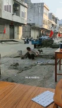 狗子：吓老子一跳爆笑gif搞笑图片