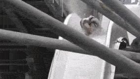 要是没有水这菊花估计得起火爆笑gif搞笑图片