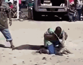 装逼有风险，小心需谨慎爆笑gif搞笑图片