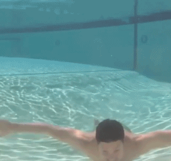 潜水撞到了玻璃看着都疼爆笑gif搞笑图片