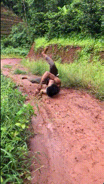 自从去了城里，回来就这样了爆笑gif搞笑图片