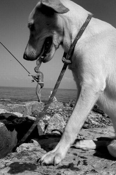 2019最新网络搞怪图片爆笑gif搞笑图片