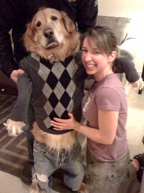 搞怪照片之我们家的爷们儿爆笑gif搞笑图片