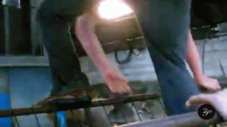 愚蠢的人类gif搞笑图片爆笑gif搞笑图片