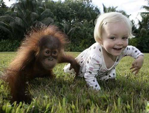 互相模仿的儿童和动物图片爆笑gif搞笑图片