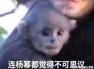 杨幂明星模仿搞笑带字图片爆笑gif搞笑图片