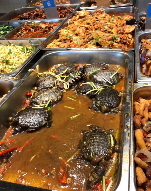 王八龟食堂黑暗料理搞笑图片爆笑gif搞笑图片