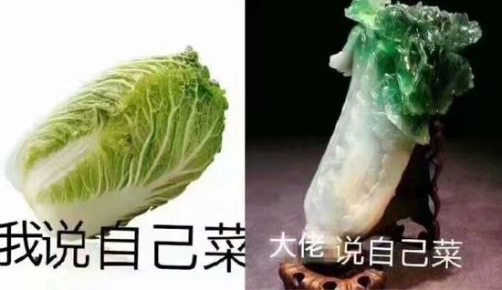 大神玩游戏菜搞笑对比图爆笑gif搞笑图片