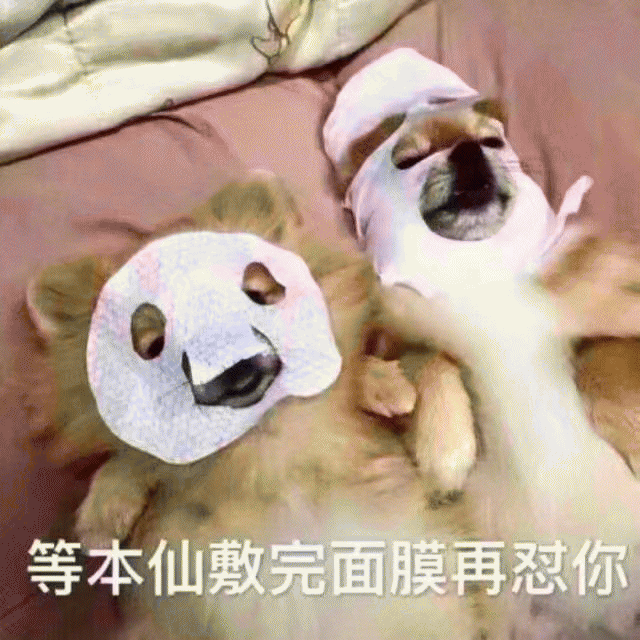 动物敷面膜可爱搞笑带字表情包图爆笑gif搞笑图片