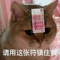 猫狗呆滞动物可爱搞笑带字表情包图爆笑gif搞笑图片