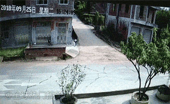 搞笑的开车入库gif图爆笑gif搞笑图片