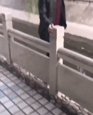 搞笑作死的动态图爆笑gif搞笑图片