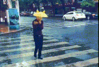 搞笑的雨伞图爆笑gif搞笑图片