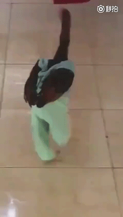 鸡穿衣服的搞笑动图爆笑gif搞笑图片