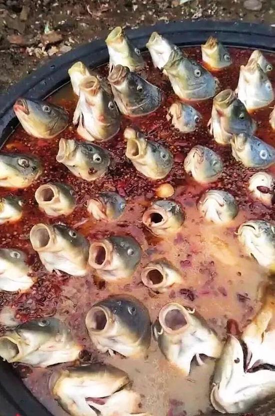 搞笑的黑暗料理图爆笑gif搞笑图片