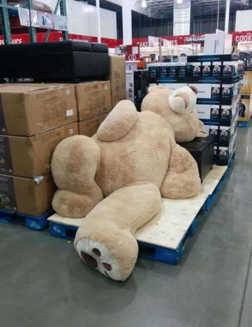 搞笑的超市巨大玩偶图片爆笑gif搞笑图片