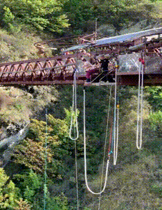 蹦极湿身的搞笑动图爆笑gif搞笑图片