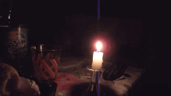 猫咪过生日吹蜡烛的搞笑动图爆笑gif搞笑图片