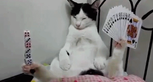 搞笑的奶牛猫咪逗比主人恶搞的动态图爆笑gif搞笑图片