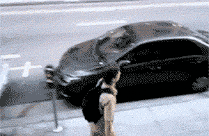 走路撞到电线杆的搞笑动图爆笑gif搞笑图片