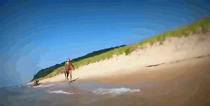 沙滩海上冲浪的搞笑GIF动图爆笑gif搞笑图片