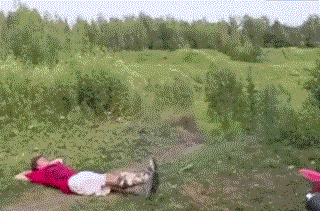 外国人装逼失败作死的搞笑动图爆笑gif搞笑图片