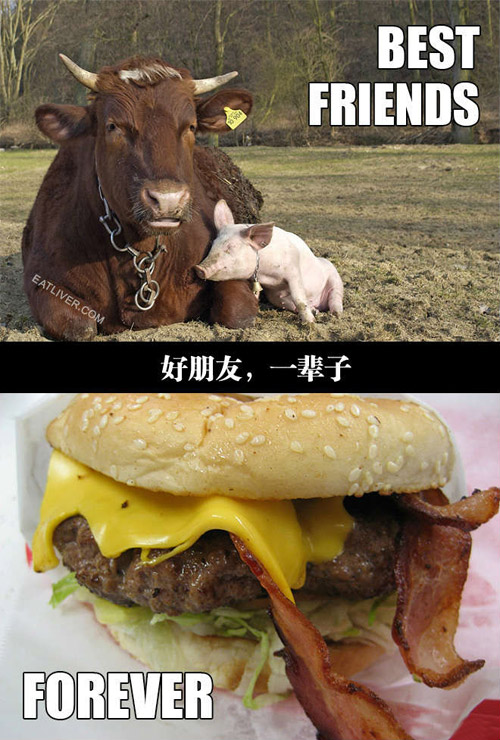 牛肉猪肉汉堡包的搞笑图片爆笑gif搞笑图片