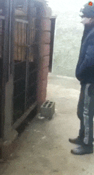 装逼作死被狗咬的搞笑GIF动态图爆笑gif搞笑图片