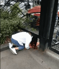 美女钻围栏的搞笑GIF动图爆笑gif搞笑图片