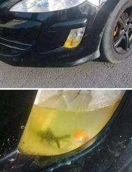 养鱼的搞笑图片爆笑gif搞笑图片