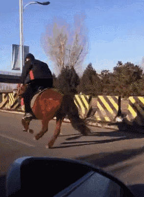 在马路骑马的搞笑GIF动态图爆笑gif搞笑图片