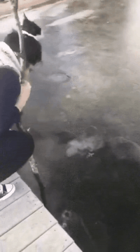 叫你别玩你不听，这回舒服了吧爆笑gif搞笑图片