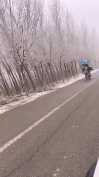 高手就是比一般人会玩爆笑gif搞笑图片