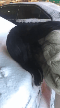 请问姑娘是猴吗爆笑gif搞笑图片