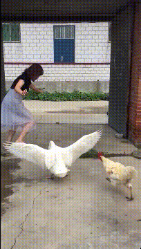 第一次带女朋友回家，结果...爆笑gif搞笑图片