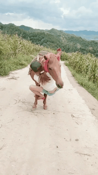 美女：马儿你别跑呀，今晚就随了我吧爆笑gif搞笑图片