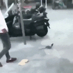 精神小伙爆笑gif搞笑图片