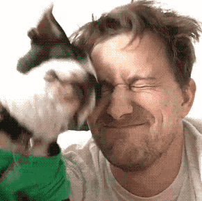 智能狗头擦脸爆笑gif搞笑图片