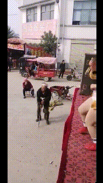 最终大娘来了，大爷吓得多年的关节炎都好了爆笑gif搞笑图片