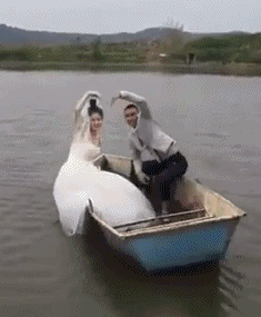 这就是传说中的相爱相杀爆笑gif搞笑图片