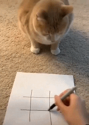 像不像你的女朋友输了恼羞成怒的样子爆笑gif搞笑图片