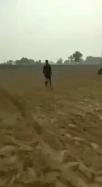 最终我还是一个人承受了所有的伤害爆笑gif搞笑图片