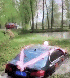 这是一场难忘的婚礼爆笑gif搞笑图片