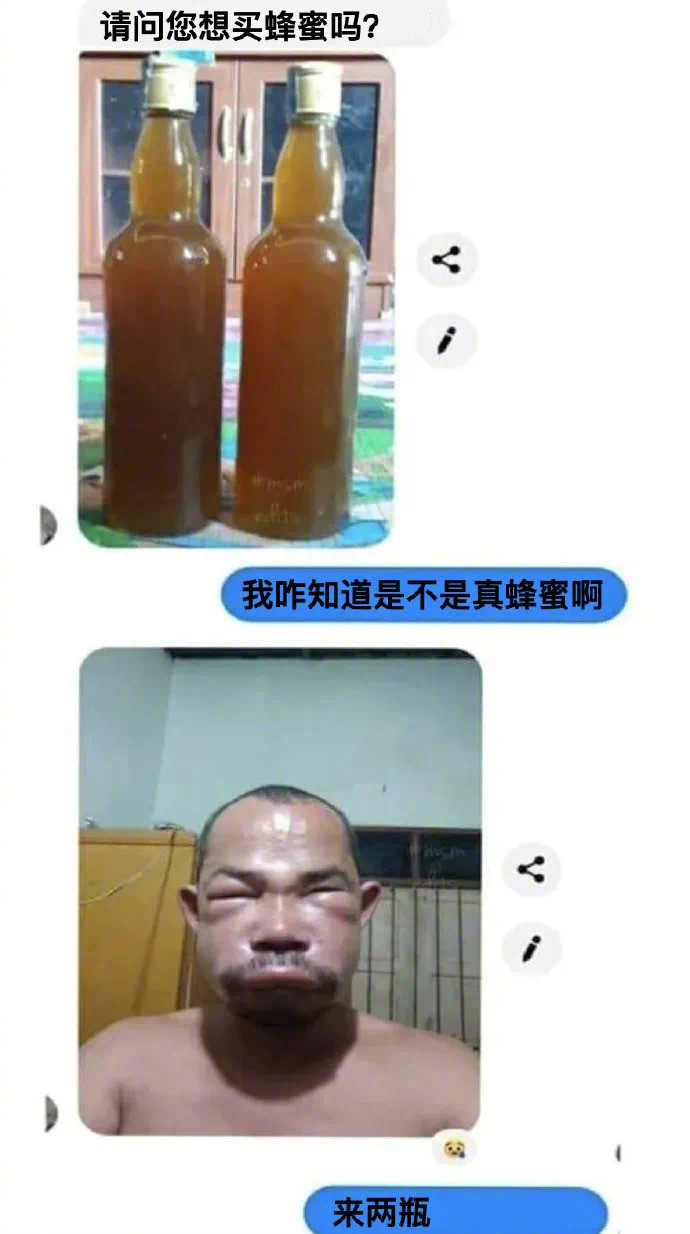 这是跟蜜蜂正面硬刚抢回来的吧爆笑gif搞笑图片